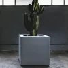 CUBO