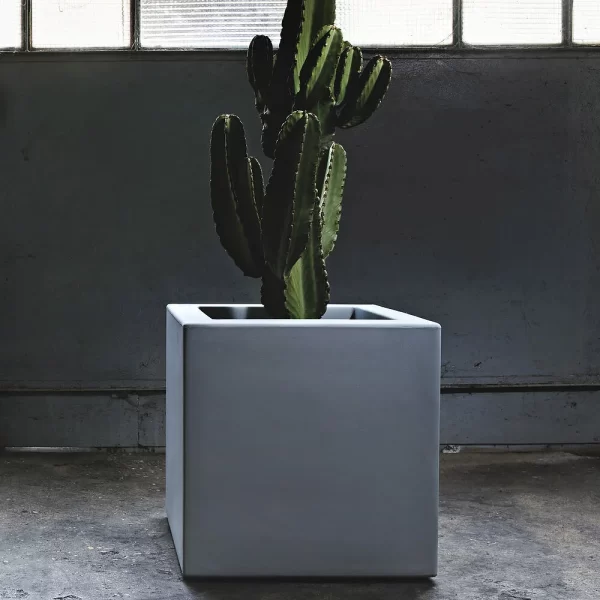 CUBO