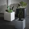 CUBO