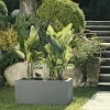 CASSETA BOX
