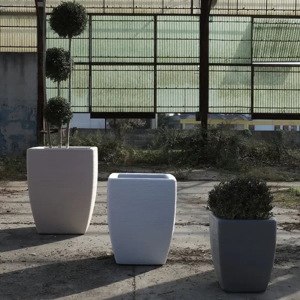 FIORDALISO
