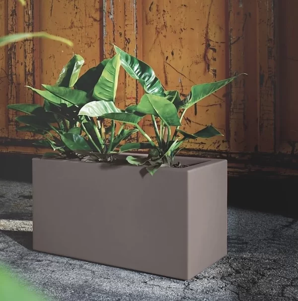 CASSETA BOX