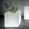 CUBO