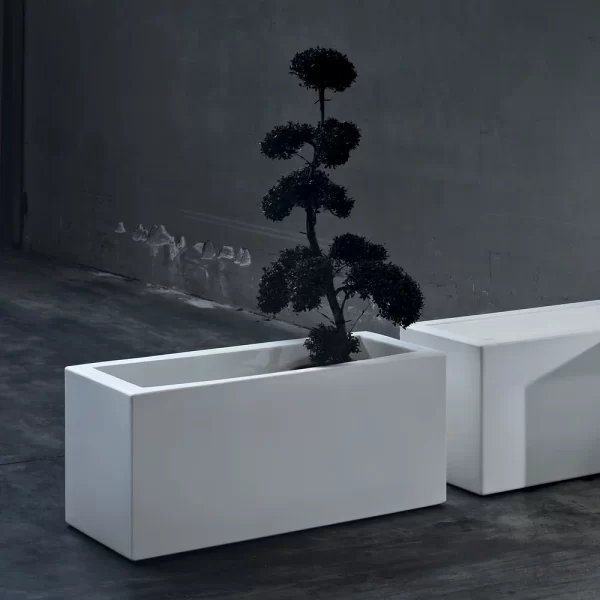 CASSETA BOX