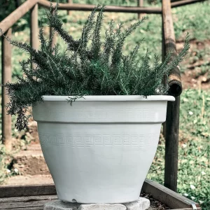 GRČKA ZVONASTA VAZA (CG)