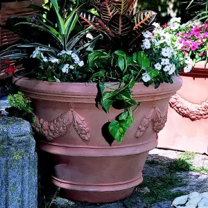 TERRA_CNF_ANTICATO_OK VAZA S FESTONIMA (CNF)